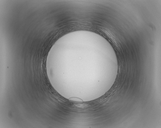 X0000115030221200912071055