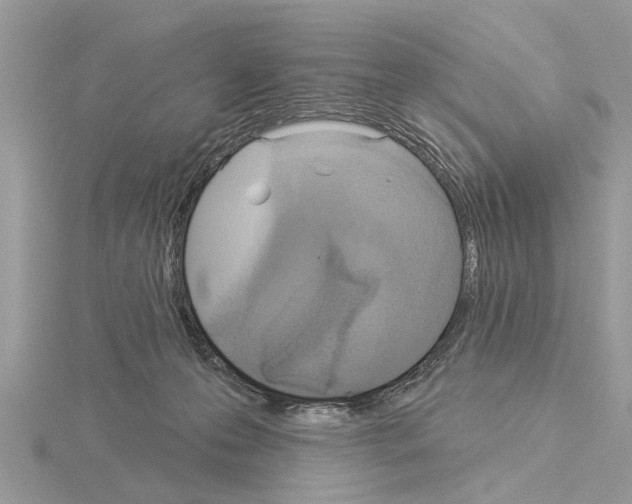 X0000115030223200912071055