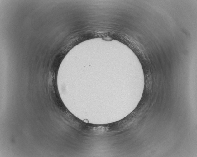 X0000115030225200912071055