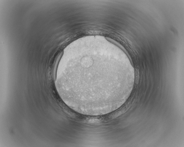 X0000115030228200912071055