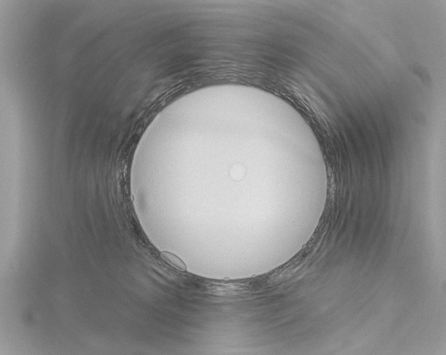 X0000115030229200912071055