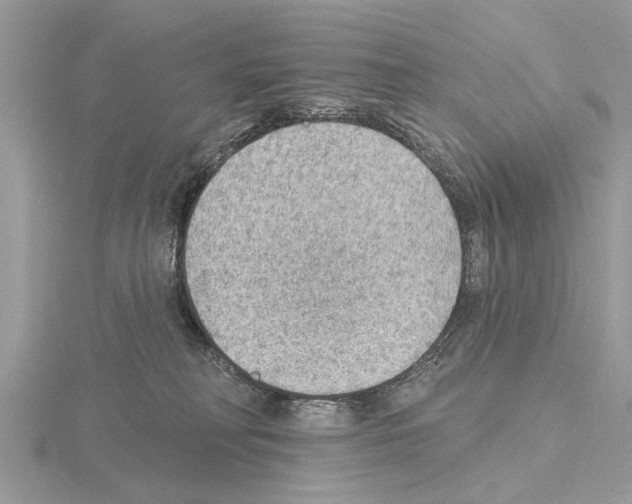 X0000115030230200912071055