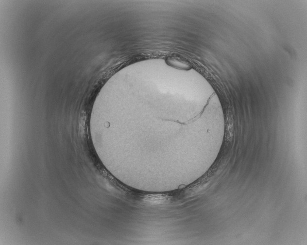 X0000115030231200912071055