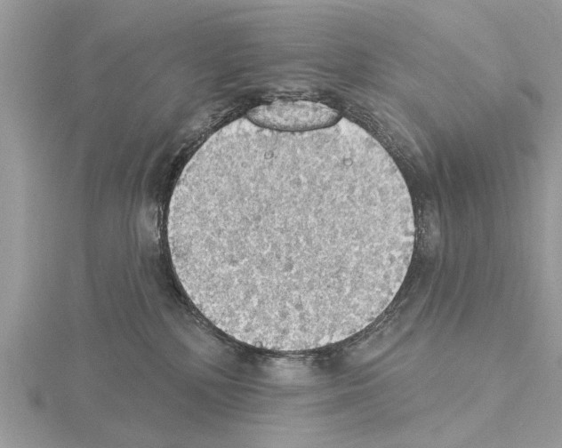 X0000115030232200912071055