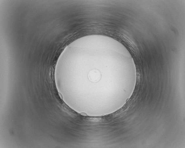 X0000115030233200912071055