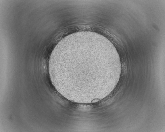 X0000115030234200912071055