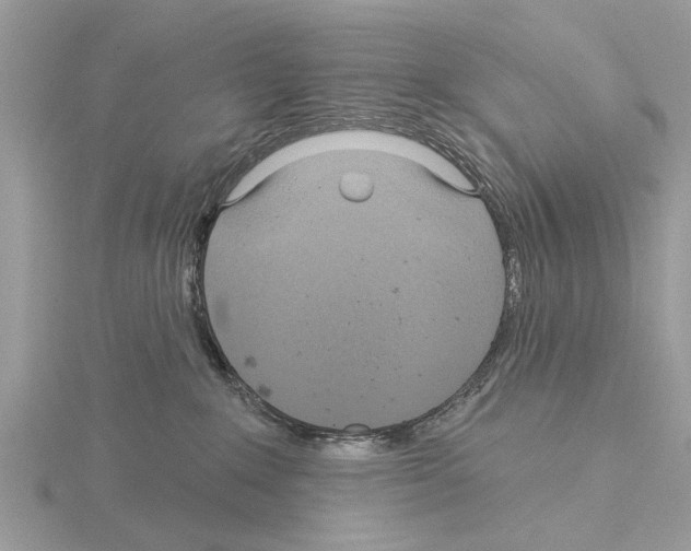 X0000115030235200912071055