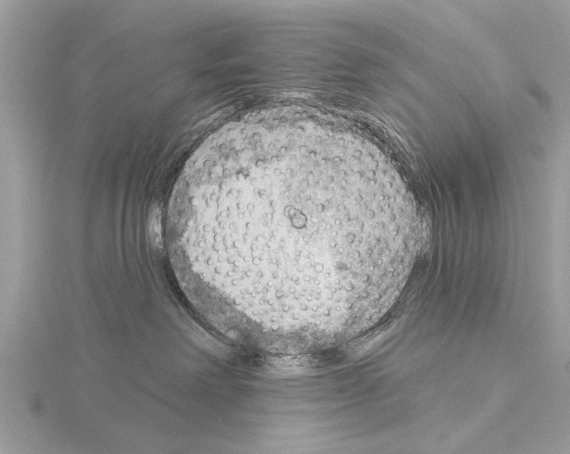 X0000115030238200912071055