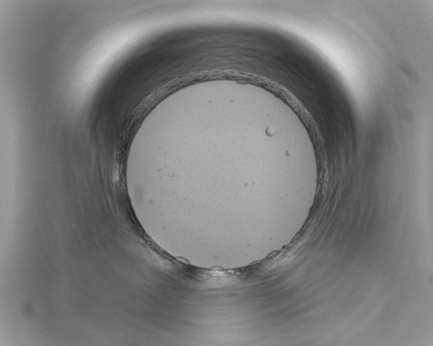 X0000115030239200912071055