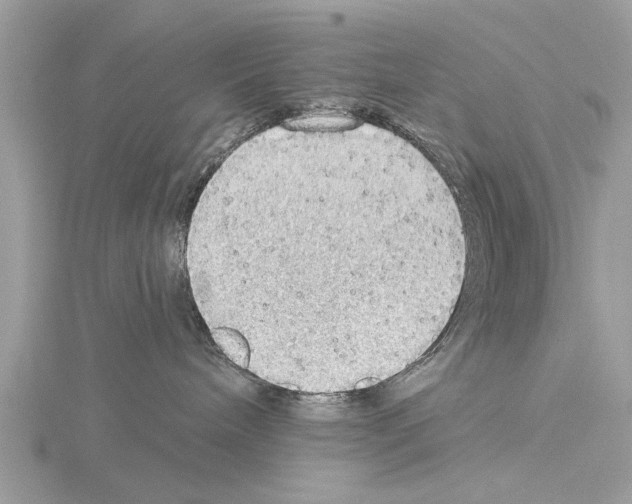 X0000115030240200912071055