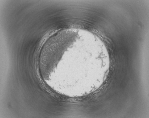 X0000115030241200912071054