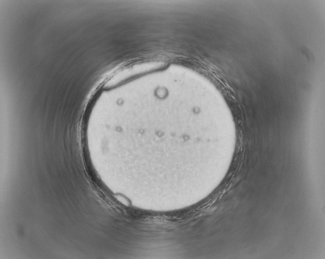 X0000115030244200912071054