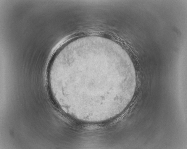 X0000115030246200912071054