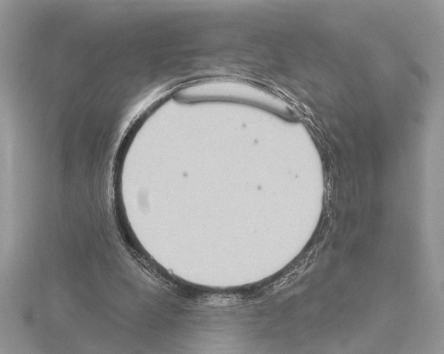 X0000115030248200912071054