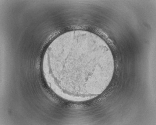 X0000115030250200912071054