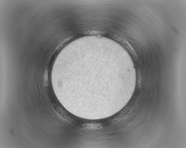 X0000115030251200912071054