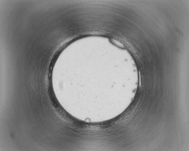 X0000115030252200912071054