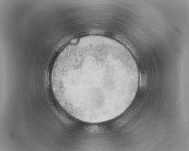 X0000115030253200912071054