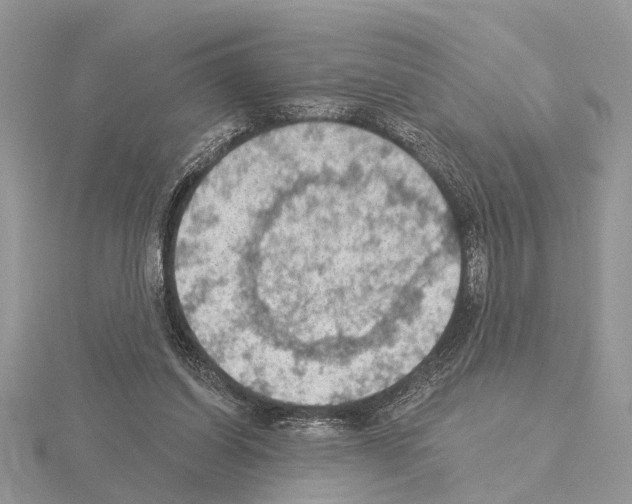 X0000115030254200912071054