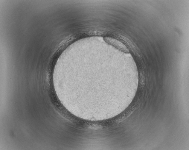 X0000115030258200912071054