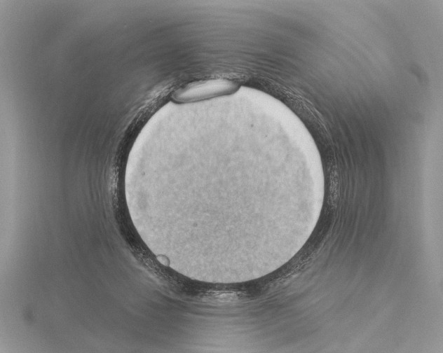 X0000115030260200912071054