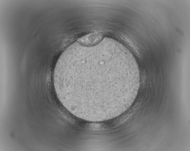 X0000115030265200912071054