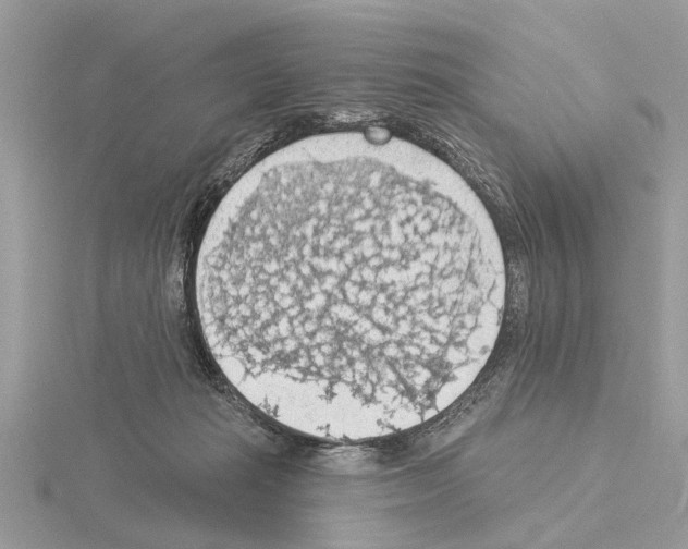 X0000115030269200912071054