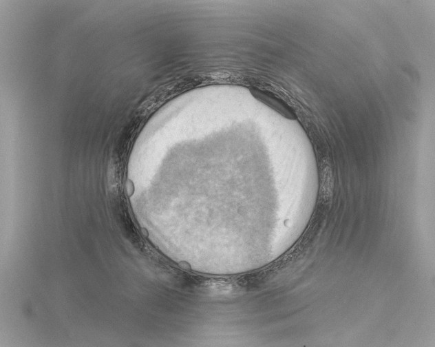 X0000115030272200912071054