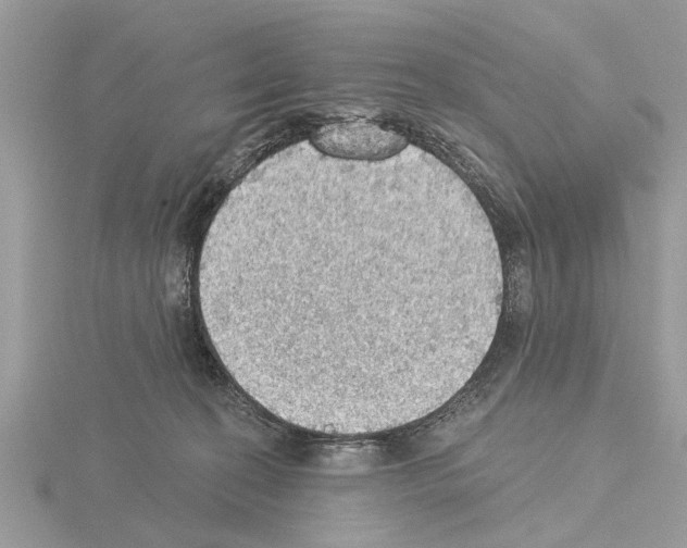 X0000115030274200912071055