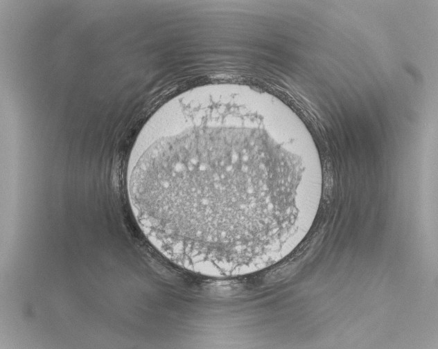 X0000115030277200912071055