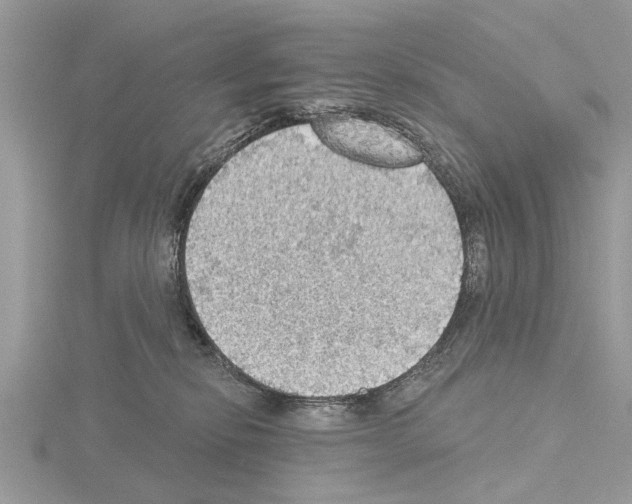 X0000115030278200912071055