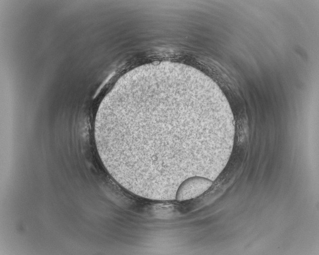 X0000115030279200912071055