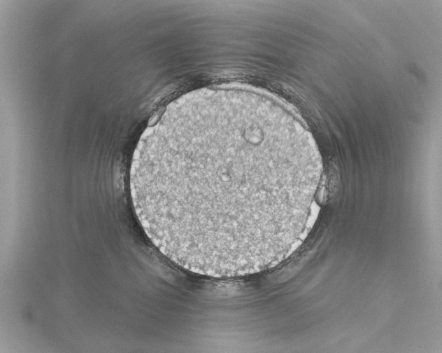 X0000115030282200912071055