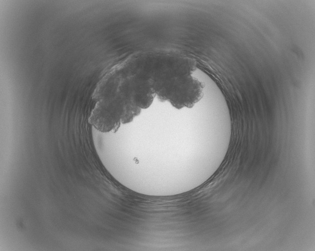 X0000115030286200912071055