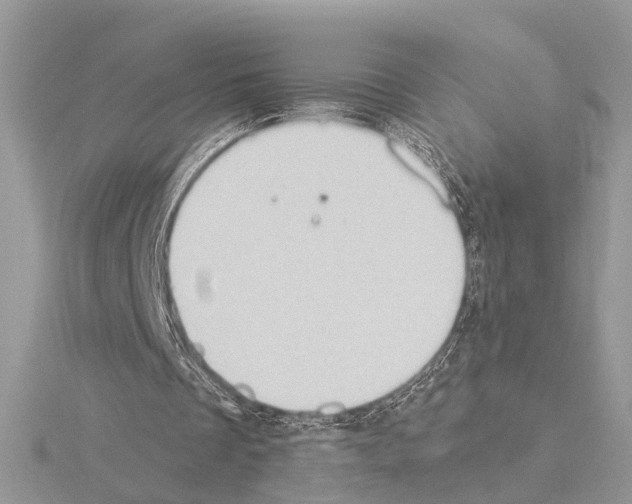 X0000115030289200912071054