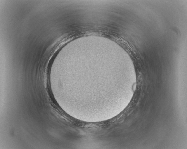 X0000115030290200912071054