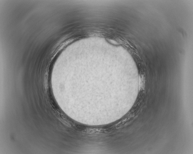 X0000115030291200912071054