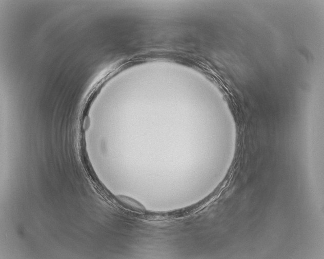 X0000115030293200912071054