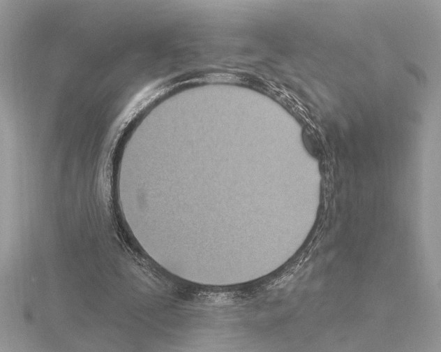 X0000115030295200912071054