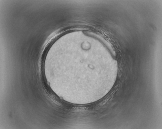 X0000115030296200912071054