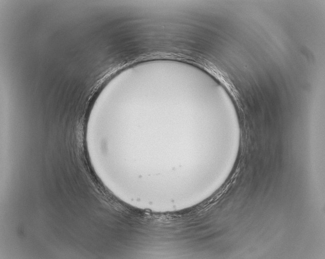 X0000115030297200912071054