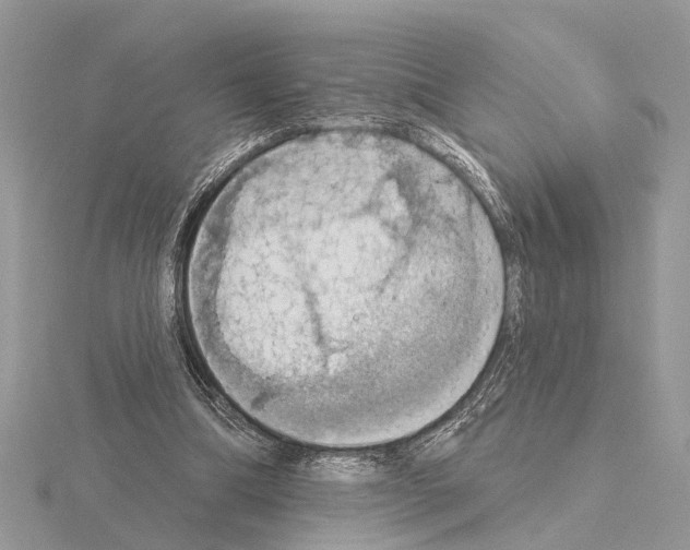 X0000115030298200912071054