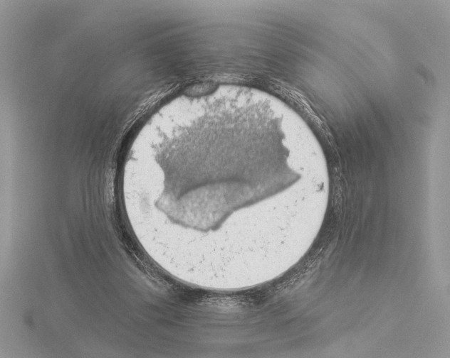 X0000115030299200912071054