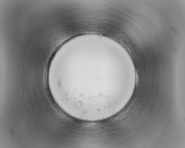 X0000115030301200912071054