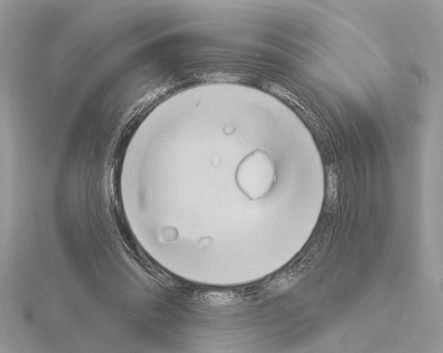 X0000115030302200912071054