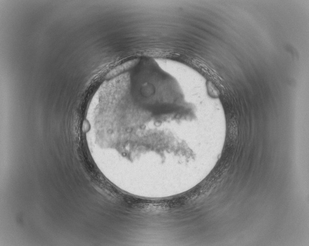 X0000115030303200912071054