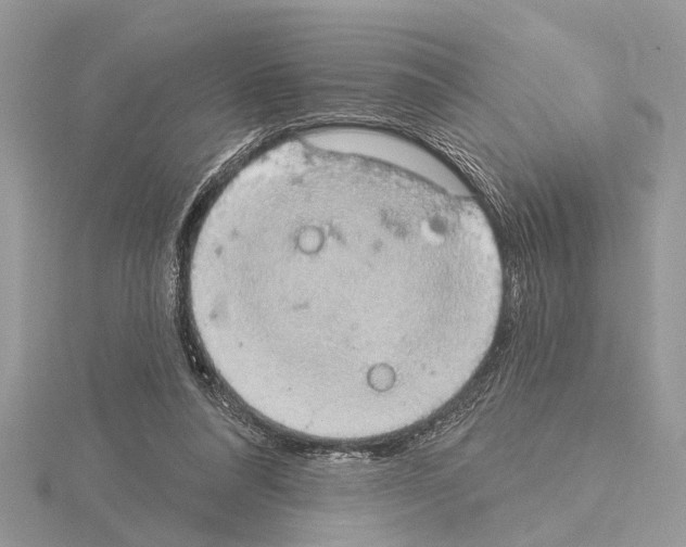 X0000115030304200912071054