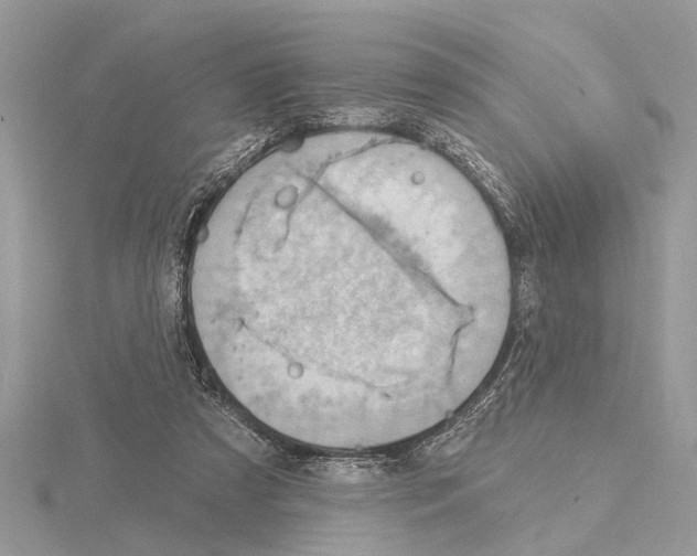 X0000115030305200912071054