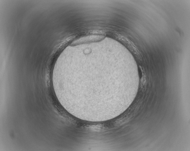 X0000115030306200912071054