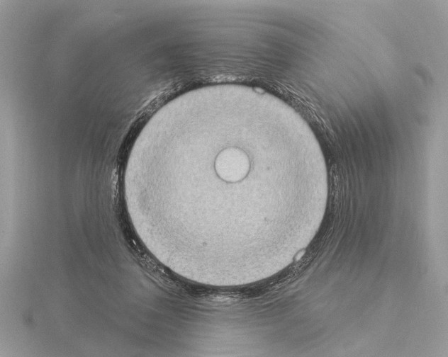 X0000115030308200912071054